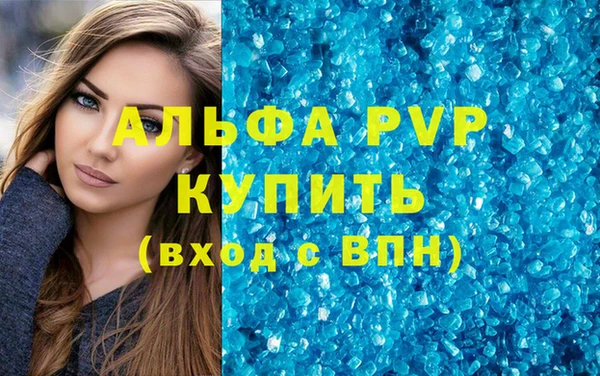 гашик Инта