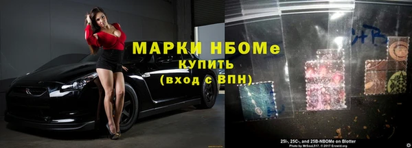 гашик Инта