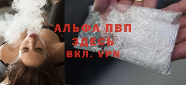 гашик Инта