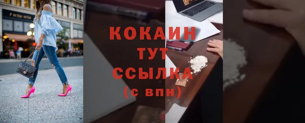 2c-b Инсар