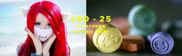 ПСИЛОЦИБИНОВЫЕ ГРИБЫ Иннополис