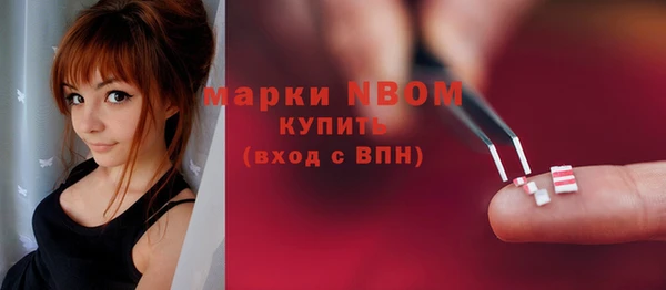 гашик Инта