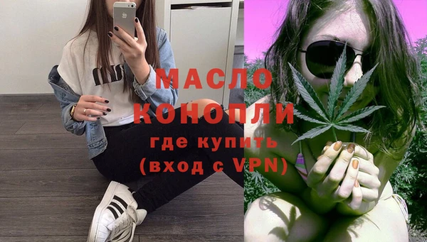гашик Инта