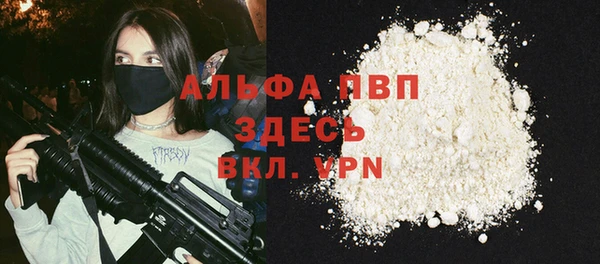 гашик Инта