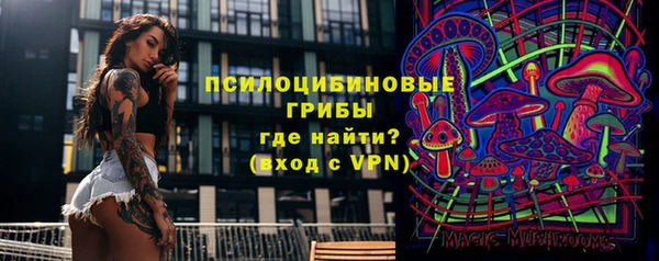гашик Инта