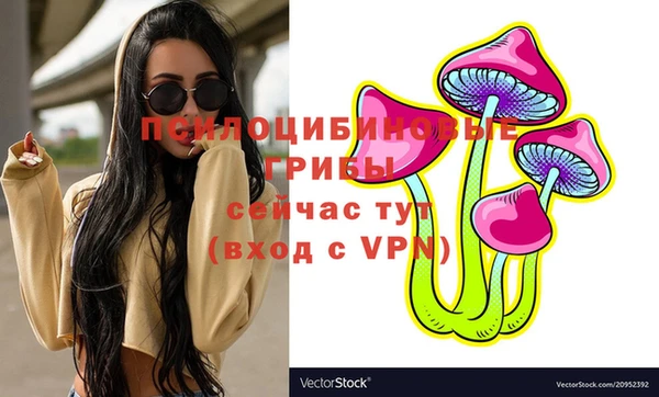 2c-b Инсар