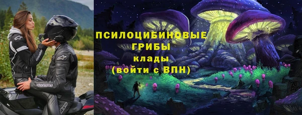 2c-b Инсар